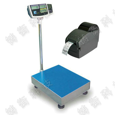 計數(shù)電子臺秤
